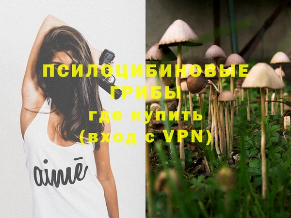 спиды Алзамай